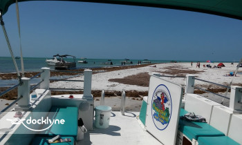 ParrotDise Express Boat Tours boat rental operation on Dunedin, FL 11