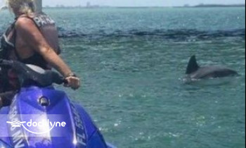 Fin's Jet Ski Tours - Clearwater boat rental operation on Palm Harbor, FL 8