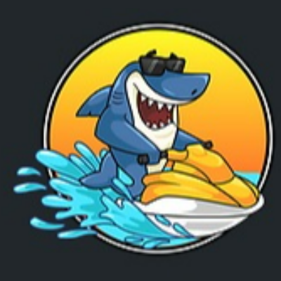 Fin's Jet Ski Tours - Clearwater